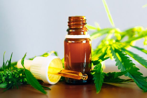 Buy CBD Oil – Important to Keep in Mind